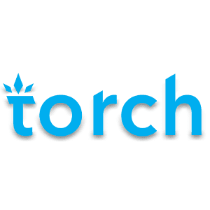 torchcartsofficial.com